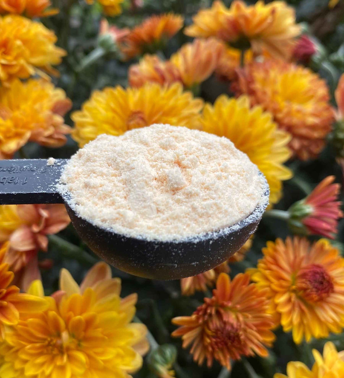GUT FYX Microbiome Powder