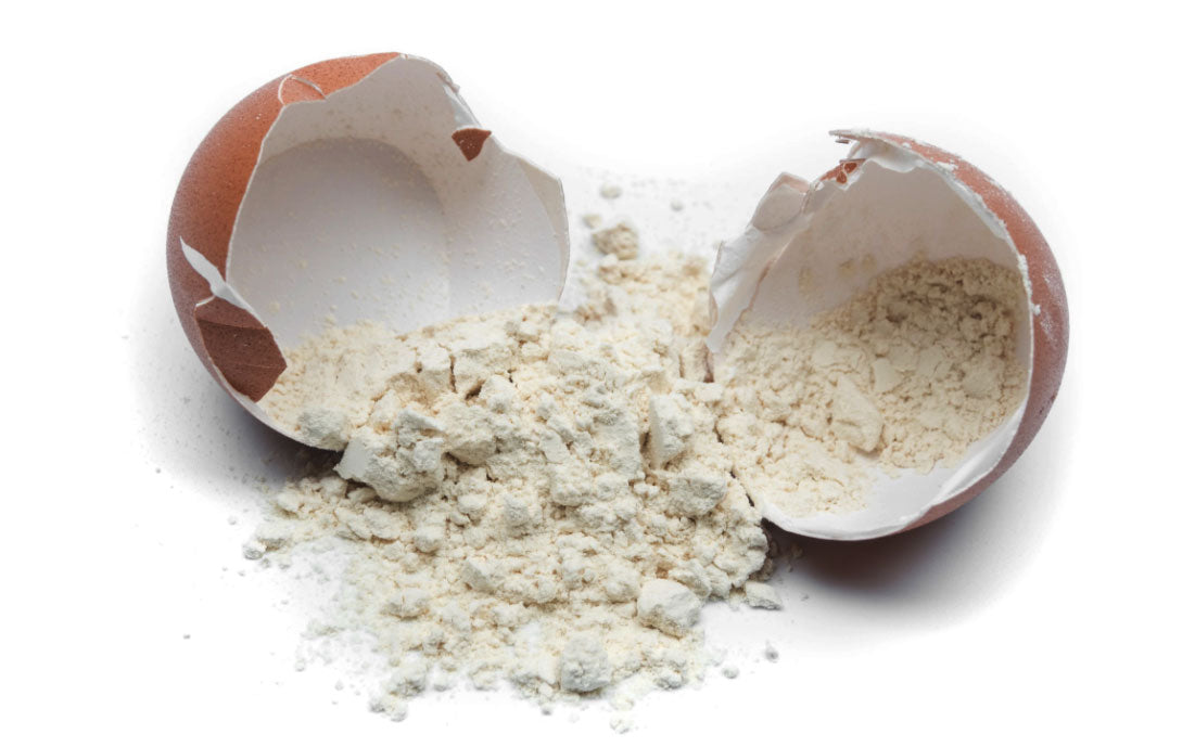 GUT FYX ND Powder (No Dextrose), 370g biodegradable bag (36 eggs)